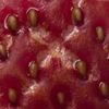gluete