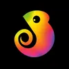 bandasy_official