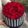 anita_azimi