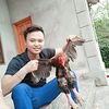 hoangtienphong0