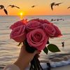 noor_sawas