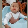 endangprt