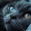 _polinka26