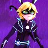 rabbit_sam