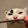 melichanabanana