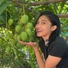 Mangga Queen