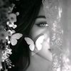 noor44noor55n