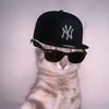 mr.aoun5