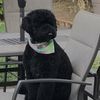 gucci_the_storm_cloud