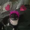 caitlynn.e.w