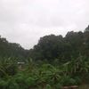 awangcokro