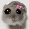 phanh_703