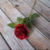 loodh03