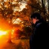 the_freze1