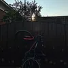 amir_22544