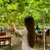 thythy_idol90
