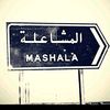 almshali22
