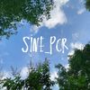 pcr_s