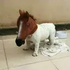 🐴