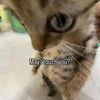 mrcuntastic