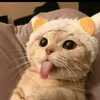 camthu170802002