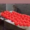 v_zp1