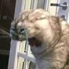who.tf_cqres