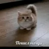 kega_lover3