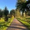 bram_vb_09