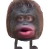 tjrockafella