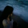 fennel_tn