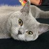 sam370283