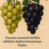 ...0965biri