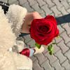 user877260094