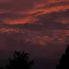 lemmebefree