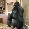 のっち