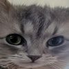 nefariousslimeball223
