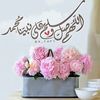 mahab13