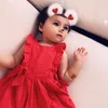 qasim_hussainy