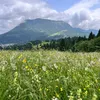 miepnichtmehrhier