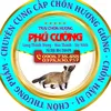 chonhuongphucuong