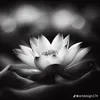 khanhha_hn