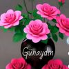 .naz_.77