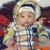 alihaider84526