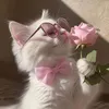 hermyboulan