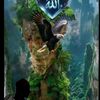 topimiring114