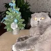name_zzzzz