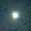 sasha_212120