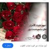 abo.haian4