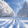 engin_vural71